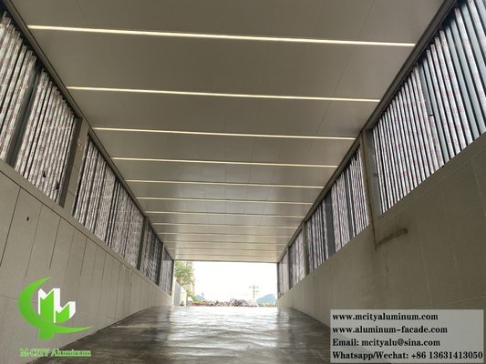 Architektonische Metallverkleidung für Wand für Decke