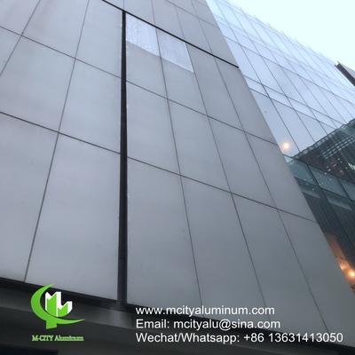 Pulverbeschichtung Metall-Aluminium-perforierte Nichtstandardplatte für Gebäudeaußen