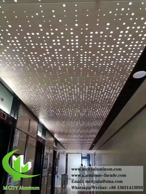 Architektonische Metallplatten Perforationsblech für Decorationsdecken Innen- und Außenbereich 2 mm