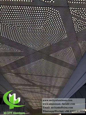 Architektonische Metallplatten Perforationsblech für Decorationsdecken Innen- und Außenbereich 2 mm